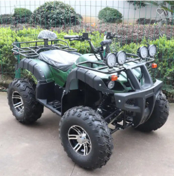 60V 2000W motor sin escobillas 4WD accionamiento del eje eléctrico ATV para adultos