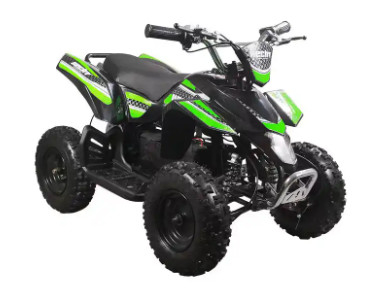 Venta caliente 4 ruedas eléctricas ATV / EATV 1000w Mini Quad Bike para niños