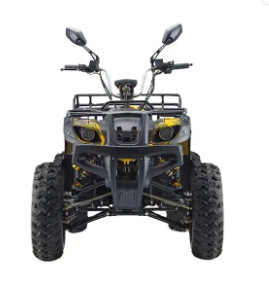 PHYES Adultos 60v 4000w eléctrico 4x4 potente
