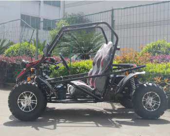 PHYES Drive de eje 60V 5000W 50AH Motor sin escobillas de plomo y ácido fuera de carretera eléctrico Go Kart/BUGGY para adultos